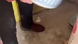 老人卖咸菜罐意外发现是清代古董