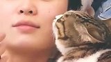 猫：这味道太让猫上头了