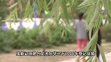 丈夫婚后出轨还生下私生女，女子告重婚罪却被驳回：互称老公老婆