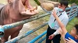 喂了一口吃的谁都不容易