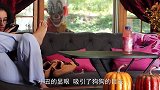 小伙在鲸鱼背上跳舞，不料帅不过三秒，镜头记录全程