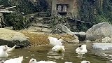 真正的人间仙境，太美了