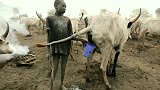 在南苏丹放牛是一种什么体验
