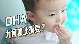 DHA补充关键期在3岁前，有利于促进宝宝大脑及视网膜的发育