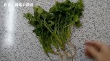 保存香菜难农民伯伯教我一招，不用放冰箱，放多久都新鲜