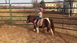 好可爱的小朋友，骑着萌萌的小马驹，看着很有画面感啊！