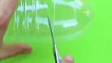 长时间出差家里花没人浇水？一个塑料瓶帮你搞定