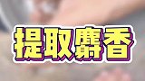 养了它三年啦，跟它借点钓鱼打窝好使！