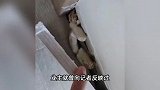 “年年脱落到处开裂”！广东一小区业主怒了，开发商：已过质保期