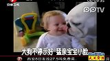 大狗不停示好猛亲宝宝小脸