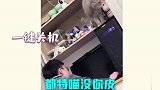 小动物们缺大德，它们这操作是真的损