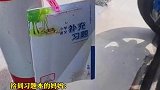 妈妈在马路上捡到了一本习题本，打开一看竟然是自己家孩子的