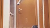 今天黄袍披身，该配合冬至演出的面包从未缺席。