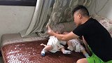 视频记录了快50岁的宝爸，给双胞胎娃喂水换尿布喂鱼油等全过程