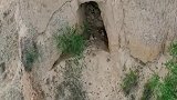 山沟里发现一土窑洞当年何许高人在此居住呢！