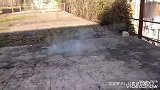 老外会玩！把鞭炮放入炉里，结果炸烂了