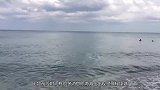 海滩出现神秘球体，金色外表光滑，研究人员打开后珍贵物体流出