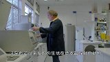 科学家发现迄今生活在地表下36公里处的动物，“恶魔蠕虫”？