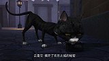 欢乐之城：小猫被遗弃，却意外得到宝典，变成女人拥有法力