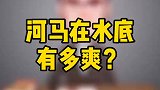 河马为什么喜欢呆在水里呢？