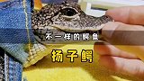鳄鱼世界的耻辱，你见过这么可爱的鳄鱼吗？