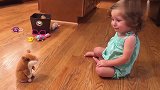 被一只电动玩具老鼠给吓哭了的小妹妹，真是太搞笑了