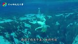 男子痴迷美人鱼，花8千将自己“整”成美人鱼，整天泡水里