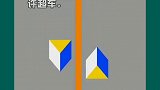 教你认识五种标线的意思作品推广 爱官方爱热门 交通