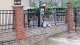 当代大学生的艰苦爱情，你羡慕了吗