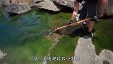 小哥野外钓鱼时，发现河水中有异样，凑近看后顿时手足无措！