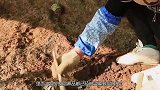 专家发掘西汉古墓，挖出一机械齿轮，足以媲美现代科技