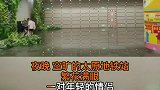 浪漫！一对情侣在太原地铁站，弹奏《梁祝》太原 地铁 浪漫