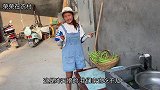 媳妇去摘豆角，遇见二嬢唠唠嗑，回家豆角焯一锅，留着冬天涮火锅