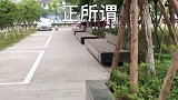 哪位鸟大哥干的？你给我出来