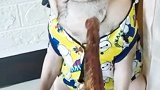 气的天灵盖子直冒烟