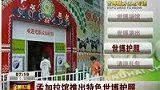 孟加拉馆推出特色护照 孟加拉虎上封面-7月26日