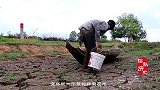 河南河床干枯露出一硬物，放羊娃被绊倒，专家赶来挖出稀世国宝！