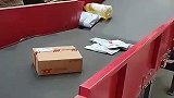 快递一直没到，终于找到原因了