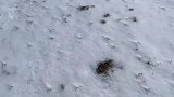 下雪的风景也是很美的