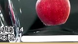 实验把一颗苹果放在水里一年，你不吃你摘我干啥