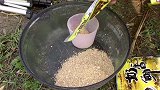 寒露后气温下降，钓鲫鱼用面饵和蚯蚓哪个鱼口好？相差悬殊