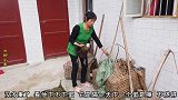 家里农活太多，小白把宝宝送岳母家住两天，两个奶奶轮着带轻松点