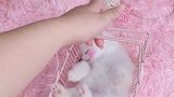 你们的小萌娃醒了