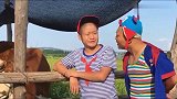 男子在看牛朋友过来唠嗑，问牛吃什么，男子回答这个结果被打