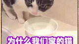 早睡早起多喝水