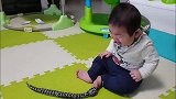 这蛇也太逼真了！宝宝以为真被咬了，蠢萌反应瞬间不要错过
