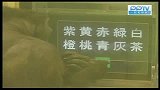 千万别低估人类进化的邻居黑猩猩强大的智慧和记忆力-11月2日