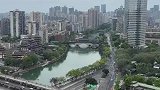 小伙偶然拍到一群白鹭在河里等鱼