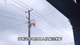 江苏一电力工人高空作业疑似触电身亡？供电公司：具体情况正在核实