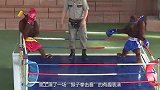 马戏团上演猴子拳击争霸赛,全程滑稽搞笑,不愧是来逗比的!
